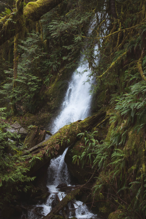 Olympic National Park