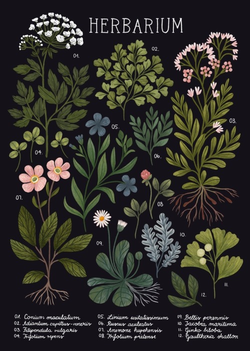 “Herbarium Dark” by Iz Ptica on INPRNT