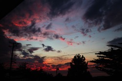 leatherboundleaves:  I think the best sunset