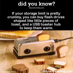 did-you-kno:  If your storage limit is pretty crummy, you can buy flash drives shaped like little pieces of toast, and a USB toaster hub to keep them warm.  Source