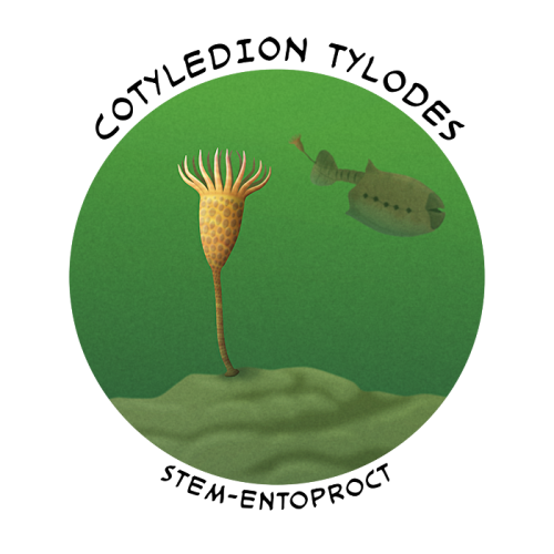 Cambrian Explosion Month #27: Phylum Ectoprocta &amp; Phylum EntoproctaEctoprocts, common known as b