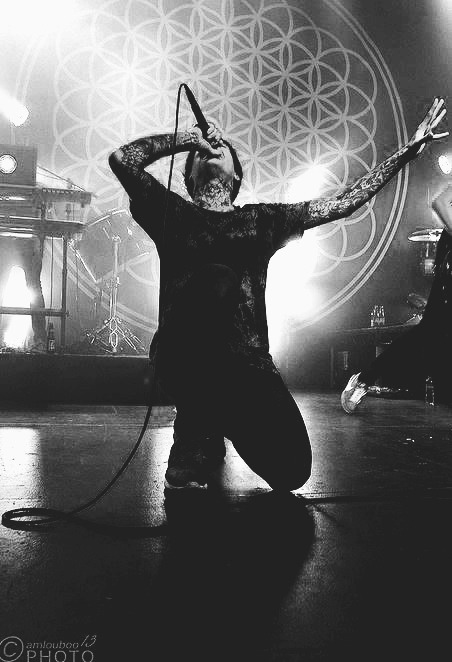 bring-me-mitch-lucker:  faggotsaretakingover:  † Band & Tattoo Blog †  Band Blog 