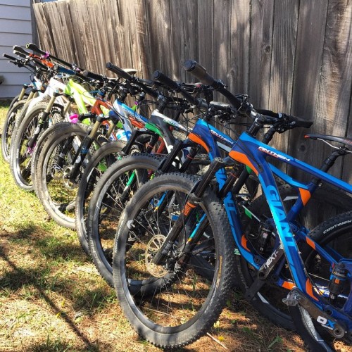 mountainbikingactionshots: RG @epiccycleandfitness: 8 bikes, almost all of them #GiantBikes, lined u