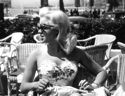 sophialorens:  Diana Dors, Cannes 1958 