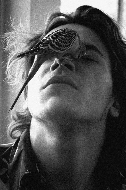 nkp1981:  River Phoenix