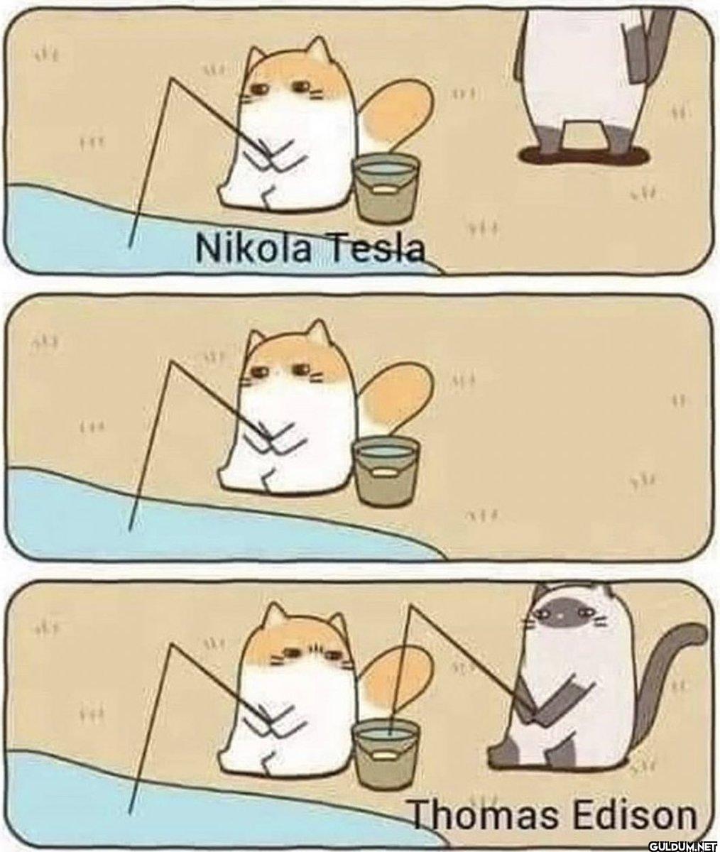 Nikola Tesla 41 Thomas...