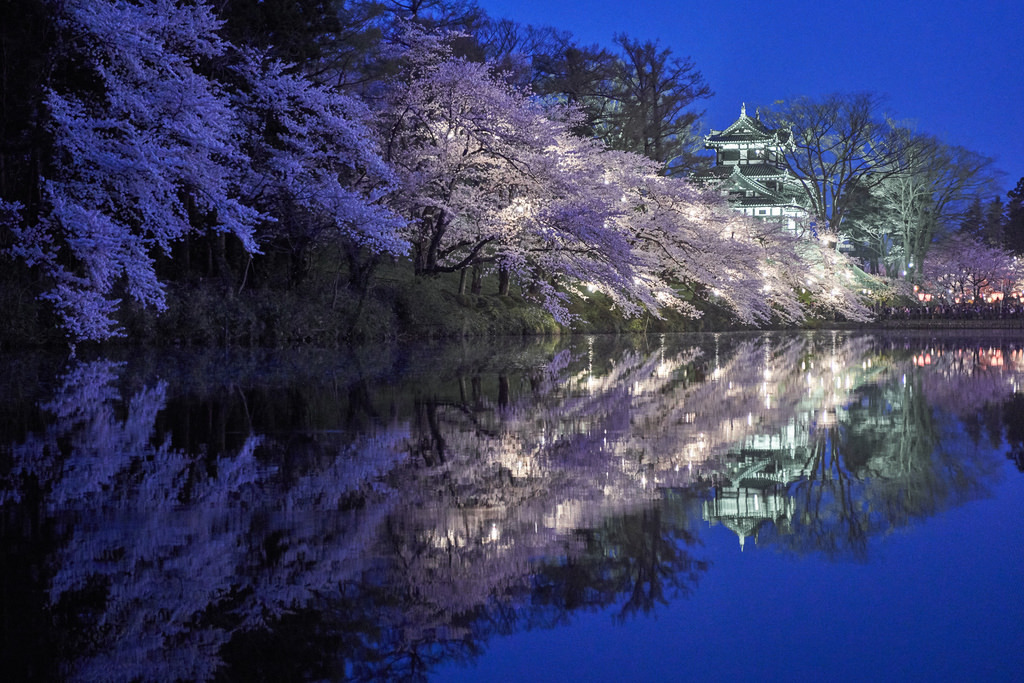 Blossom me. Япония отражение в воде. Япония Такада парк Сакура. Japan Shadow. Blossoms and Shadows.