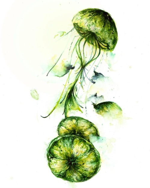 Jelly fish lime #nabiart #watercolor #trekell #marconabi