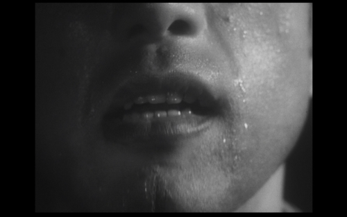 nyxzt:  Patriotism // 憂国 (1966, Yukio MIshima) 2 