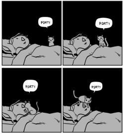 getoutoftherecat:  every night. 