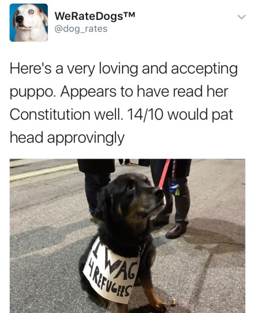 Woke cute dog Twitter is my favorite part of The Resistance. Who is a good dog, @dog_rates and @Emer