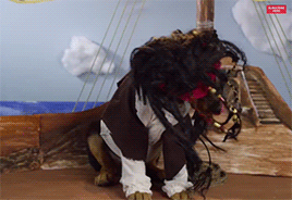 mashable:  You know what will make your favorite disney movies better? Puppies. [via]
