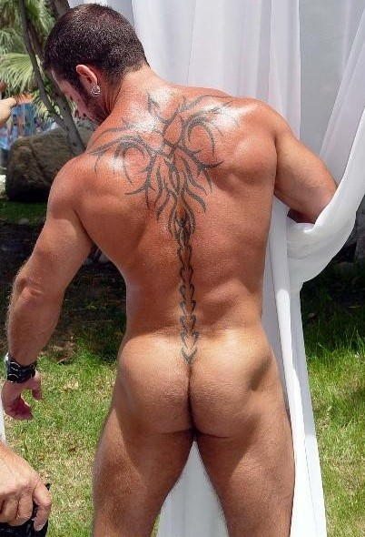 MUSCLED BULL BUNS :-)