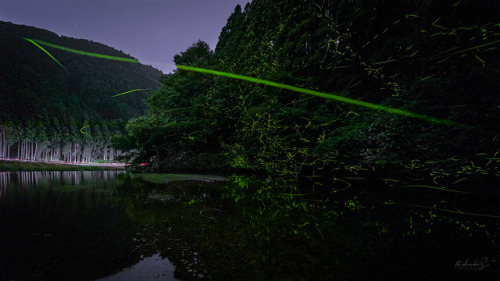 [ Light Trails ] 16mm, f/2.8, ISO 800, 120sec Taken at Nara, Japan.. 奈良県にて。