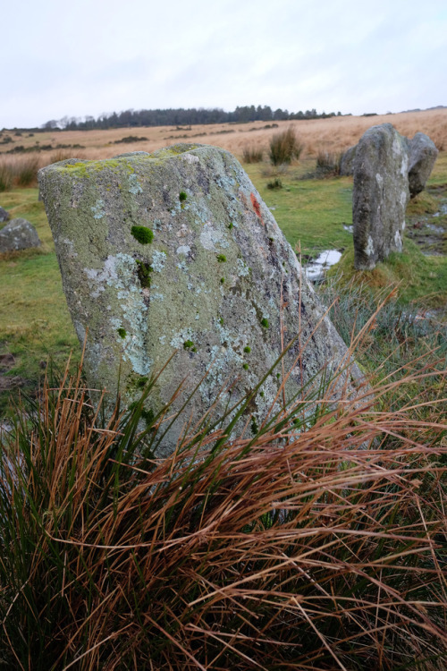 Yellowmead Stone Circles, Dartmoor, 29.12.17.This highly unusual Bronze Age site features a series o