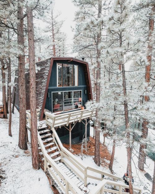 wild-cabins:  Chris Daniele