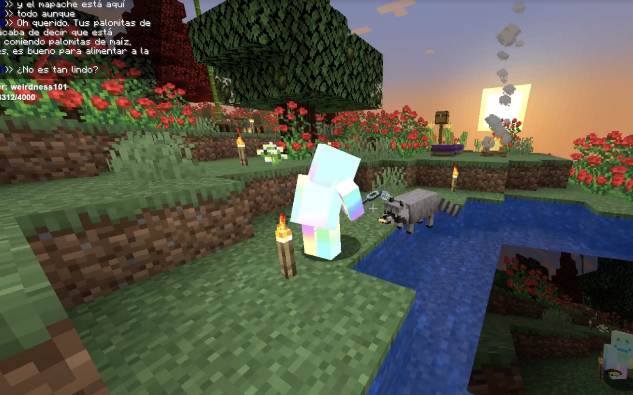 minecraft sideblog — The racoon stole Cucurucho's popcorn