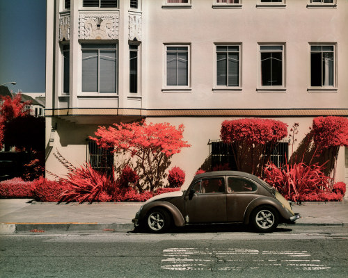 San Francisco, USA by bill bold Via Flickr: Kodak Aerochrome - Pentax 67ii