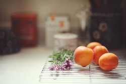 inexploratus:  186… lavender from the garden by AnyDirectFlight on Flickr. 