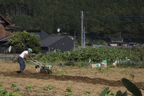 thirdyearsiteandcontext: Rural Japan