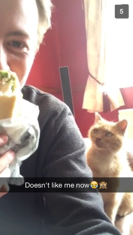 So my left arm went home yesterday and I got some snapchat videos from him this morning…he was tormenting his cat with his sandwich and I could hear Tom laughing while he was doing it and it made me tear up slightly, just knowing I’m not