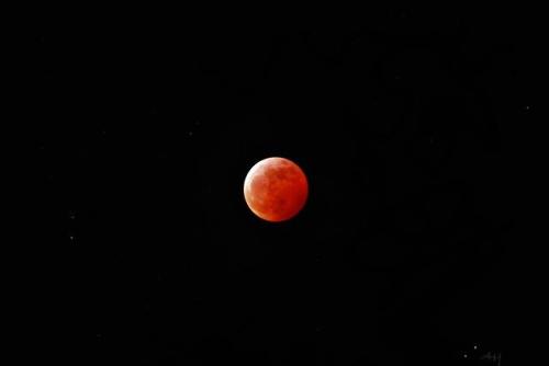 majicktongue: feetlover2164: 1confuciousone: space-pics: Blood Moon over BC Who is this she’s perfec
