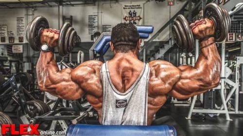 drwannabe:  my boy Roelly Winklaar