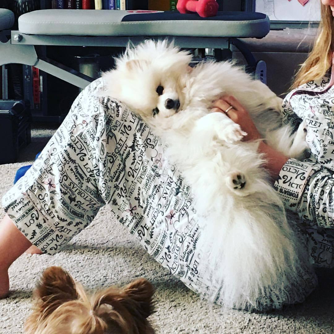 Puppy love from aria! #pomeraniansofinstagram #pomeranian #pomeranianpuppy #pommymommy