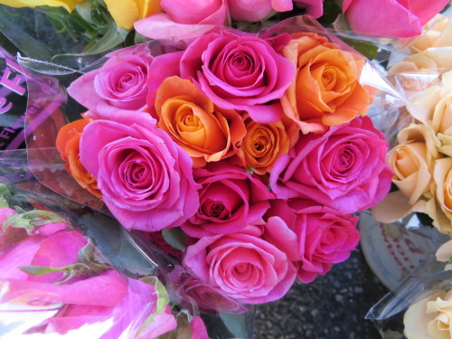 Love these colors of roses together