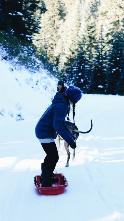 Adore this radiant being, and the fact she took us sledding while her great dane pulled us