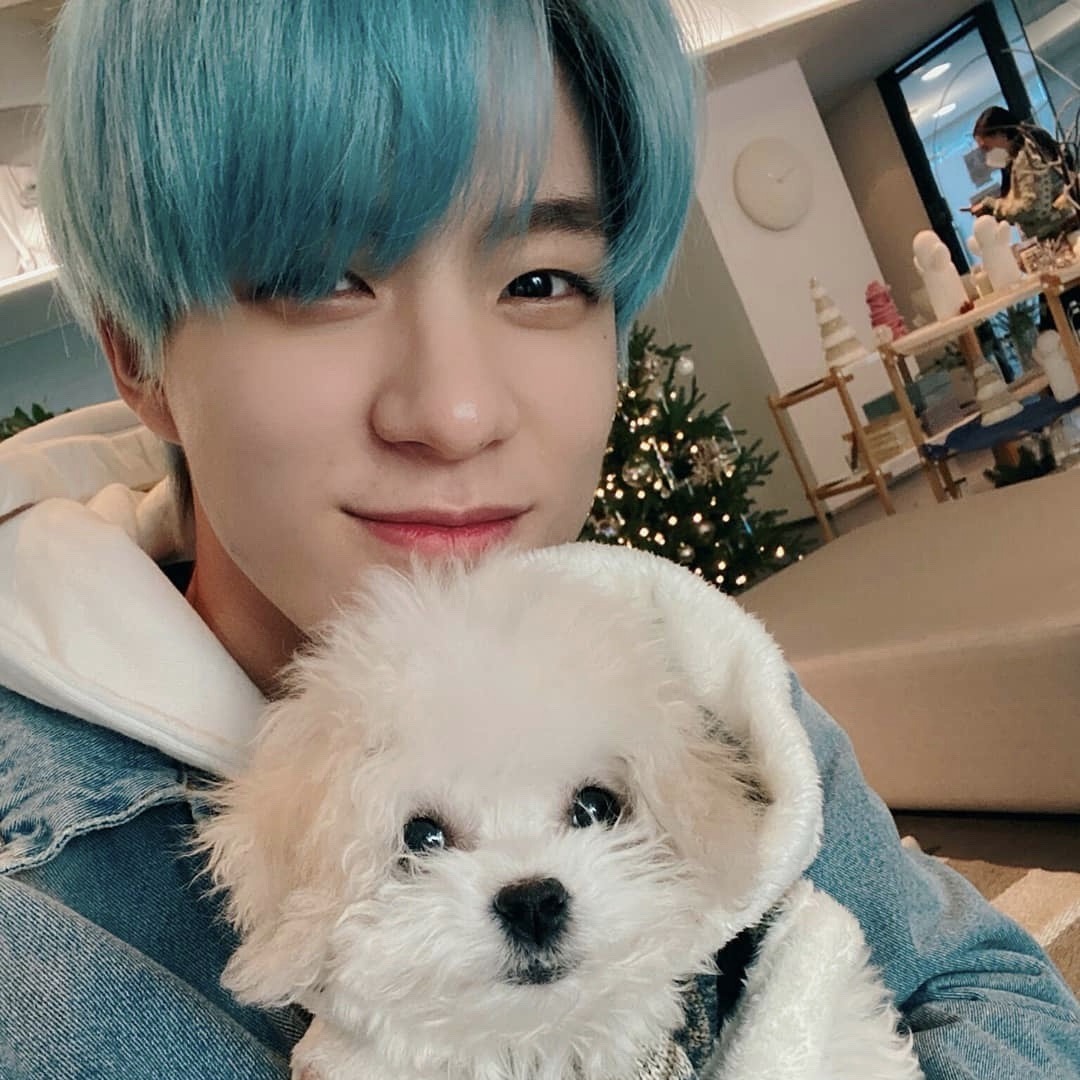 Lee Jeno Roleplay Republic