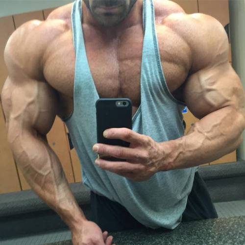 drwannabebigger:Josh Halladay