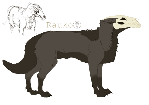Final Design For My Character Rauko :D !