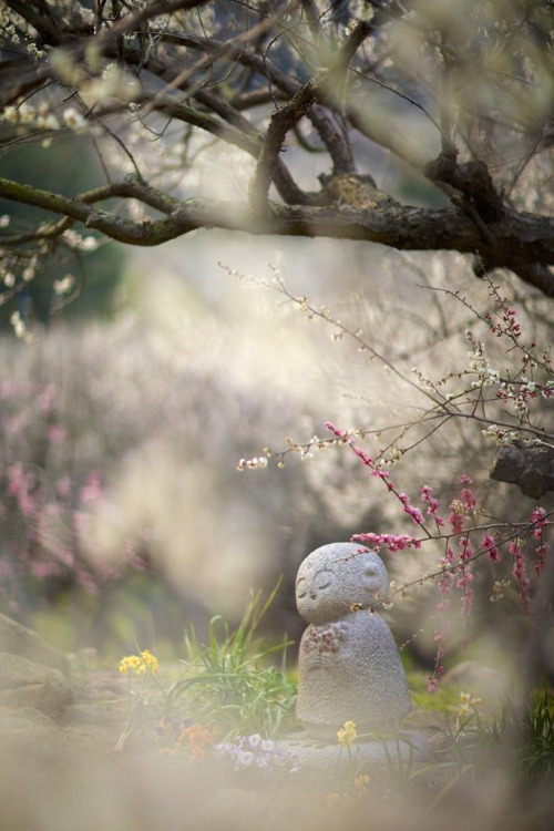 Jizo statue at Mt. Ayabe, Hyogo, Japan.  Photography by oort oort on photohito