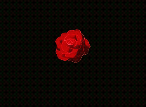 𝘼𝙗𝙤𝙪𝙩 𝙈𝙚