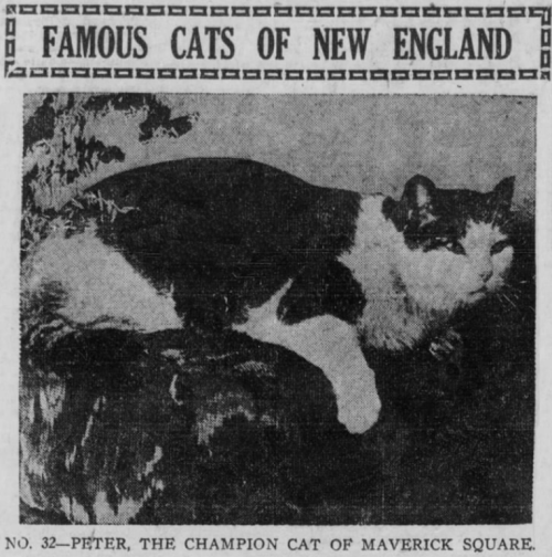 yesterdaysprint:Boston Post, Massachusetts, January 10, 1921