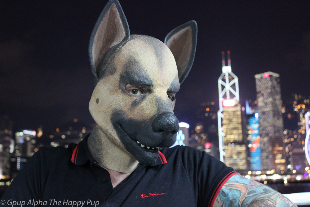 Hong Kong Pup! Love this vibrant city!You can learn more about human pup play at:http://SiriusPup.net