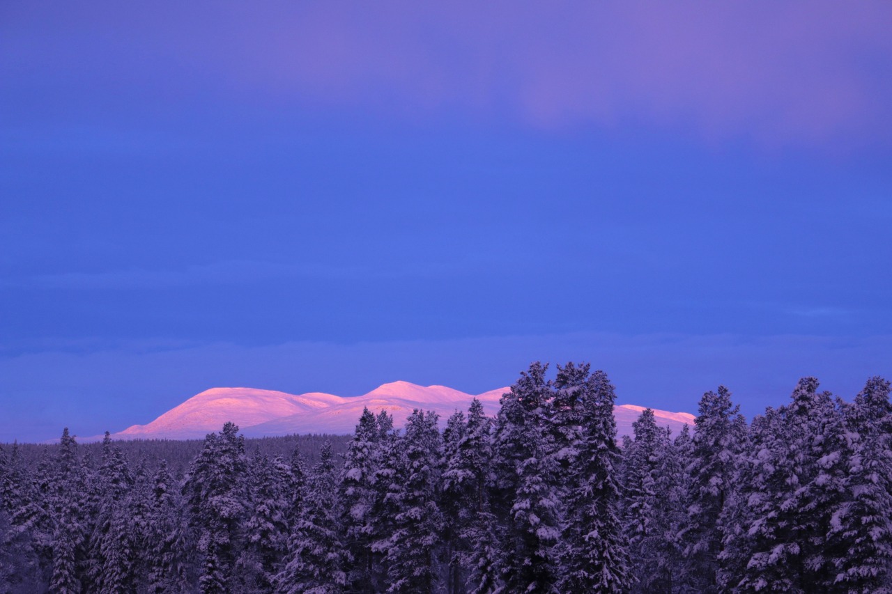 Most magical sunrise I have ever seen. Norway, December 2022.