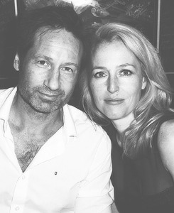 lanaprrilla:  David Duchovny and Gillian Anderson @ SDCC 2013  Anderson: “A lot