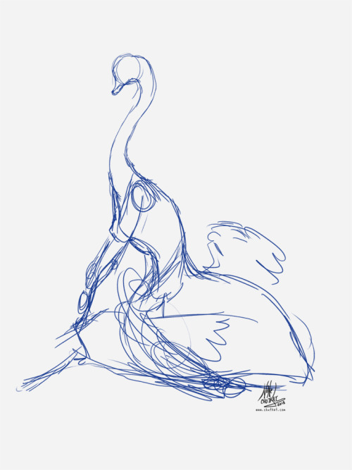 chutkat:  Morning girl Commission for ecmajor of their ostrich taur character Maggie. First time drawing an ostrich! :D  Ahhhh look <3