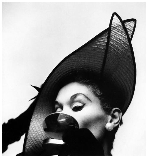 vintagechampagnefever: Lisa Fonssagrives by Irving Penn (1949)