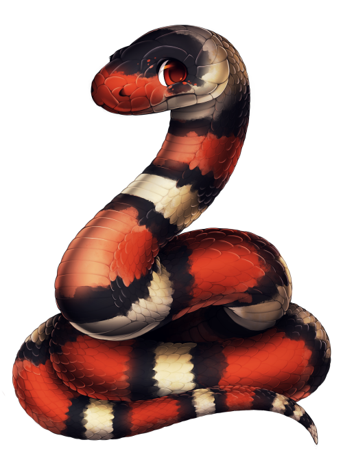 furvilla:  Reptiles! Albino Ball Python, Corn Snake, Ball Python, Milksnake, King Cobra, Arizona Whiptail, Collared Lizard, Bearded Dragon 