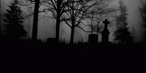 darkestdreams1875 - Solitude street