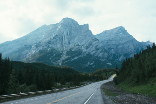 Alberta, CanadaAugust, 2014