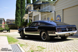 Muscle Car Instant