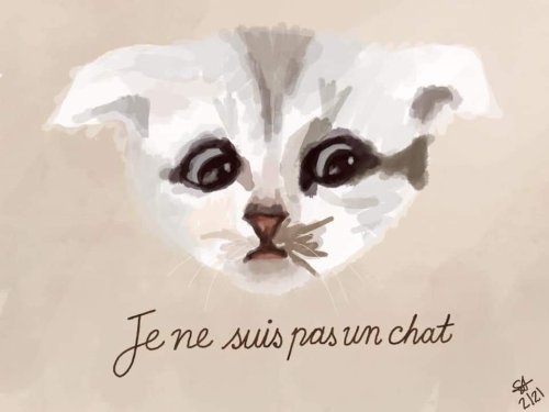 laughingsquid:Je Ne Suis Pas Un Chat