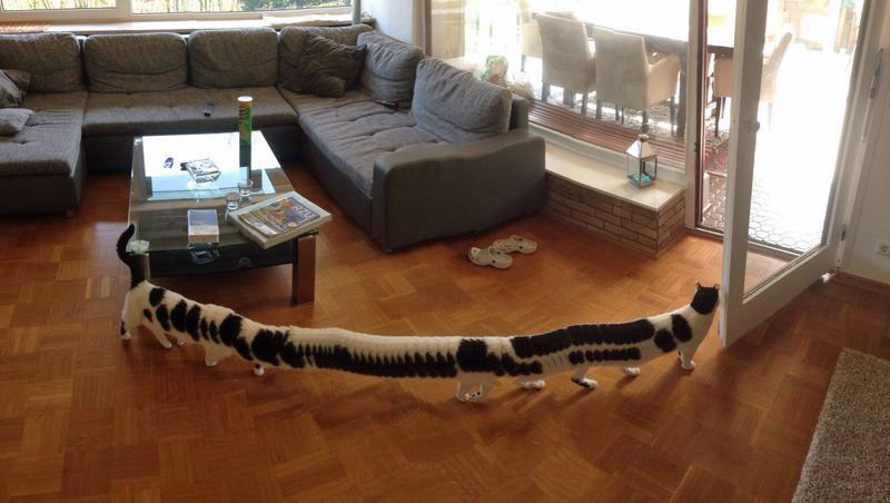 fabtrek:  tastefullyoffensive:  “I took a panoramic picture of our living room.