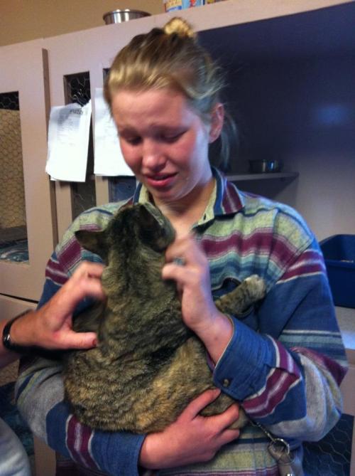icexcold: white-oprah: awwww-cute: My friend just went to pet cats at our local animal shelter, and 
