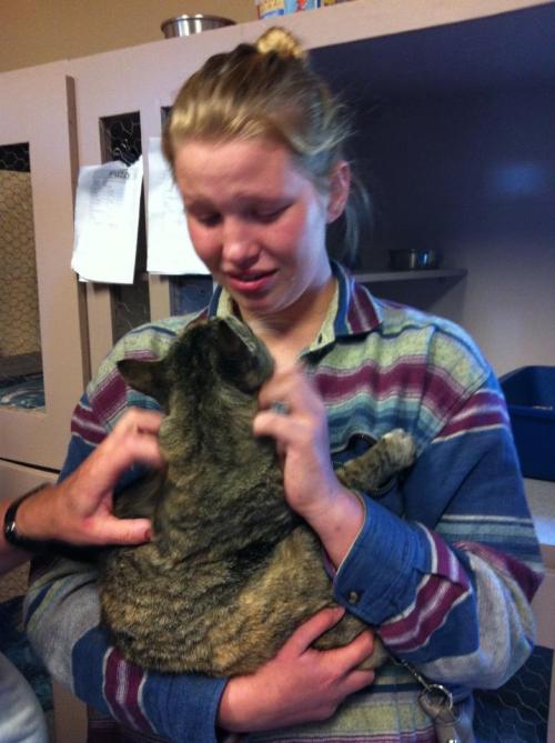 awwww-cute: My friend just went to pet cats at our local animal shelter, and found her cat that had 