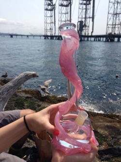 thceattle:  Seattle Hempfest ‘14! My beautiful SpecialK Glass bong! ✌️ 